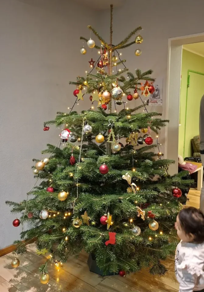 Weihnachtsbaum